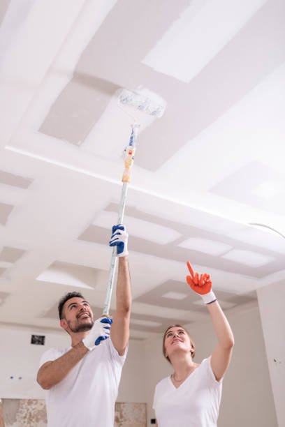 Best Forensic Mold Investigation  in Socastee, SC
