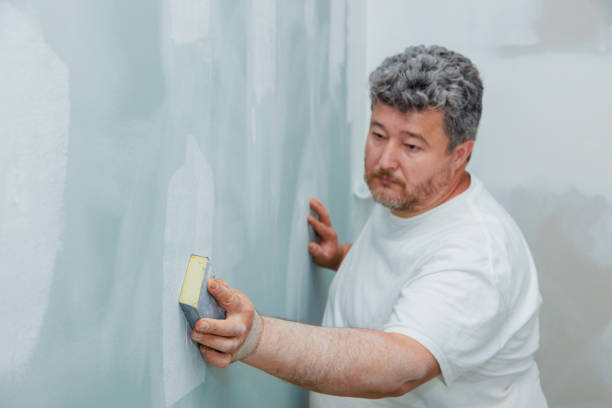 Best Asbestos and Lead Testing During Mold Inspection  in Socastee, SC