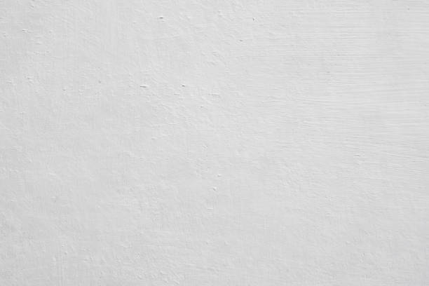  Socastee, SC Mold Removal Pros