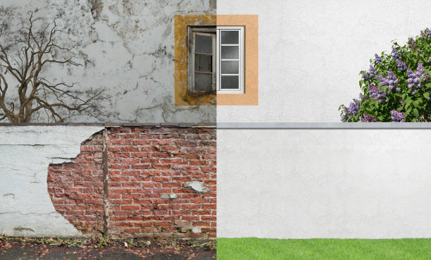 Best Comprehensive Air Testing for Mold Contaminants  in Socastee, SC