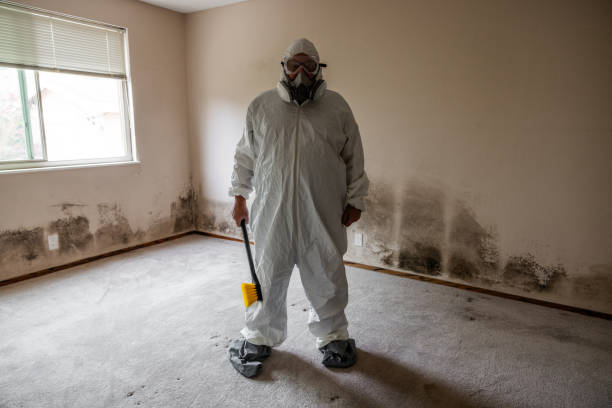Mold Removal for HVAC Installations in Socastee, SC