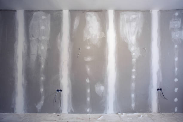Best Water Damage & Mold Remediation  in Socastee, SC